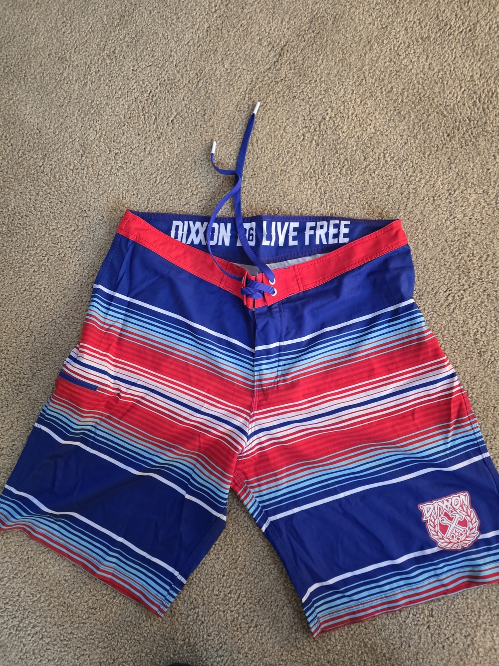 DIXXON Live Free Red & Blue Striped Men’s Board Shorts